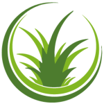 Barefoot Grass Icon