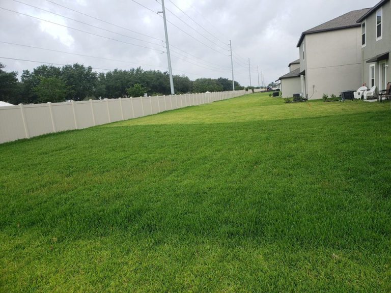 3 Simple Steps to a Great Lawn 