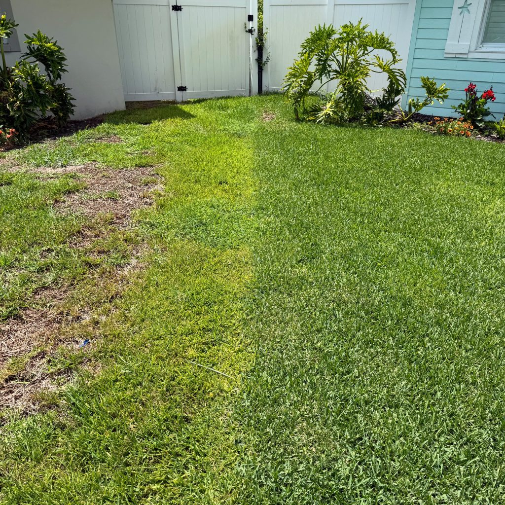 professional lawn service in largo