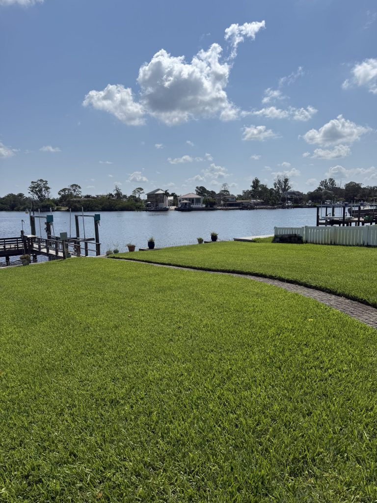 3 Steps to a Green & Healthy Lawn in St Petersburg