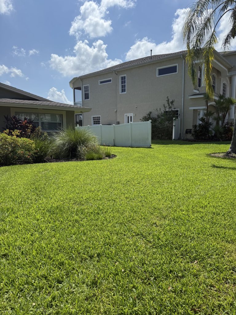 What to Expect in February from Your St Augustine Lawn in St. Petersburg 