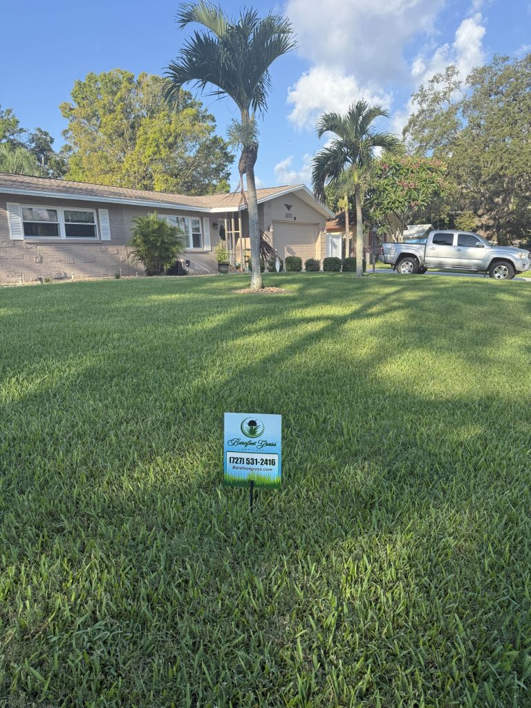 How to Maintain St. Augustine Grass with Once a Week Watering