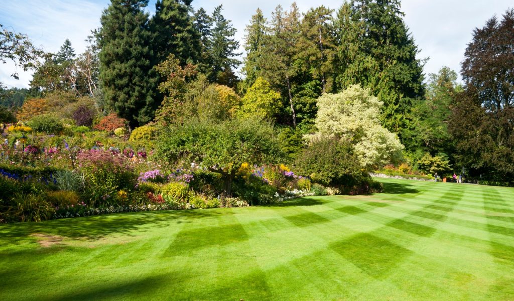 Home Lawn Care