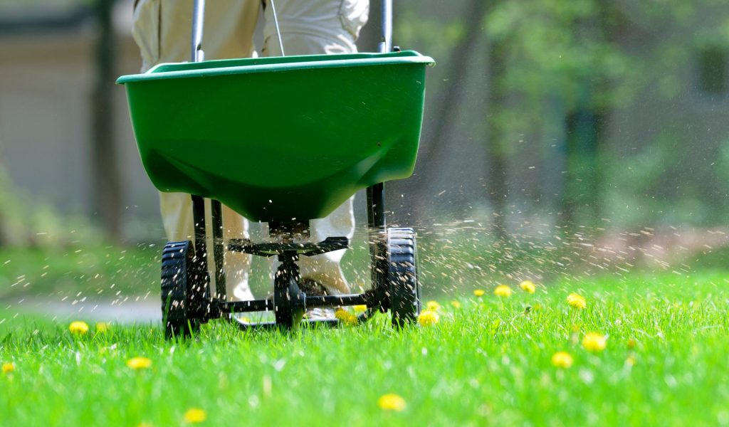 lawn fertilization