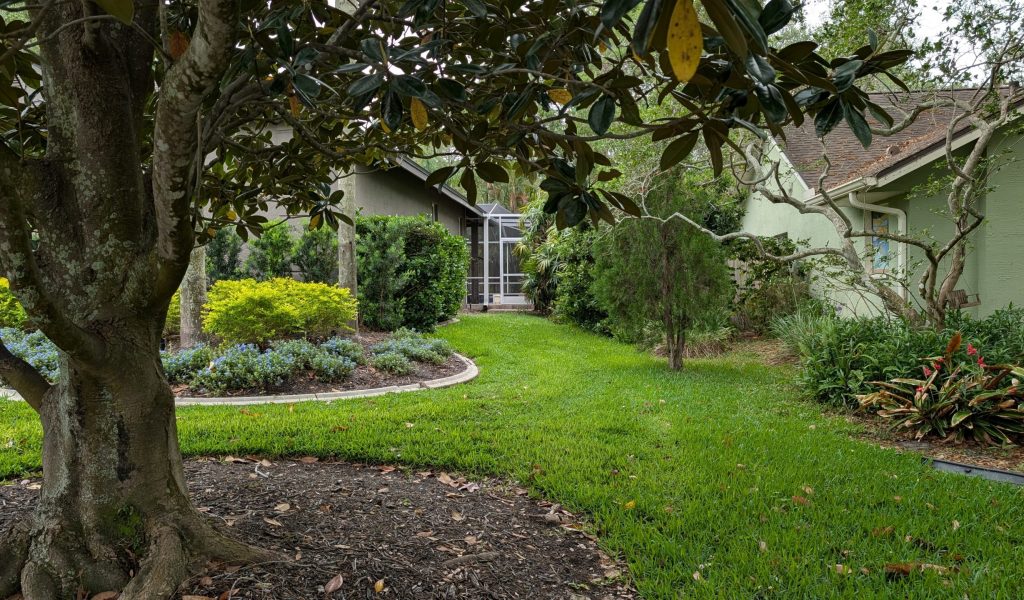 tree shrub and lawn care customer